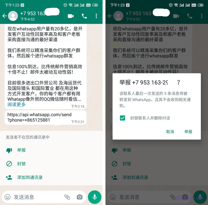 WhatsApp 群发