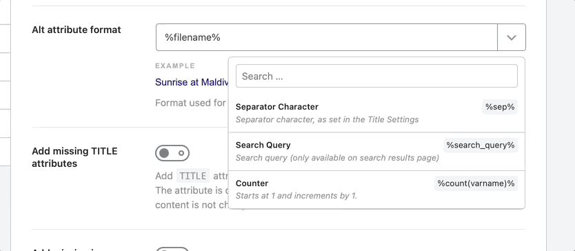alt attribute format option-min