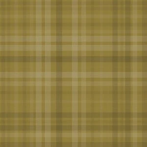 WeChat Robot Premium Version Download